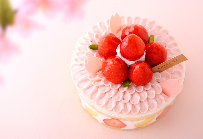 大人な可愛さ溢れる桜満開スイーツ♡春の楽しいシーンで食べたい、神戸生まれのパティスリー「アンテノール」のさくらのケーキ♪