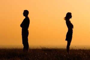 rf41611243_inesbazdar150600052